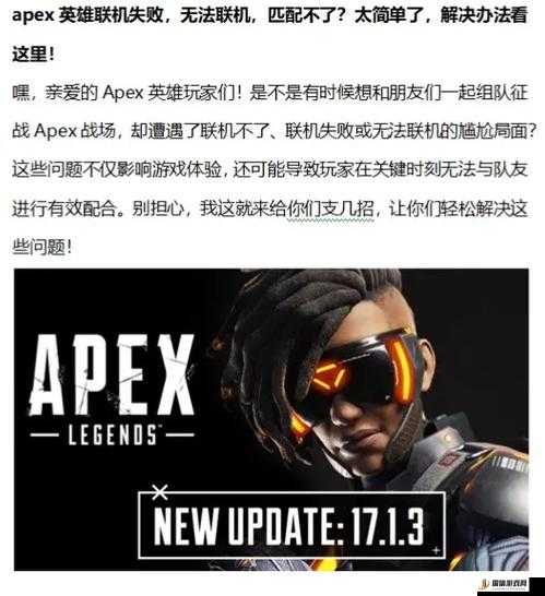 Steam平台畅玩Apex英雄，详细步骤与方法介绍指南